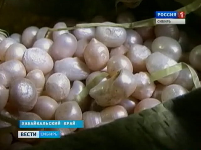 Таможенники пункта пропуска «Забайкальск» обнаружили партию жемчуга под видом благовоний