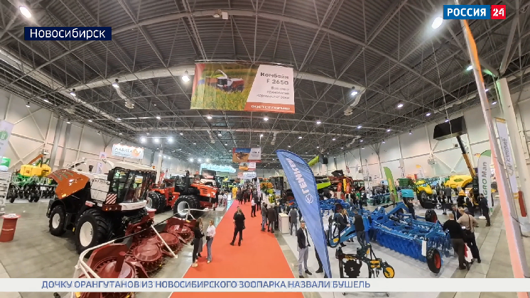 Лучшие производители собрались на Сибирской аграрной неделе в Новосибирске