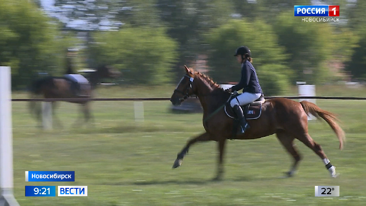 tyve153bcu060hizl05178ai7vo5jz8r.png