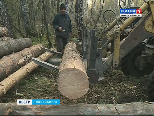 Дачники озабочены вырубкой леса возле садового общества в Тогучинском районе