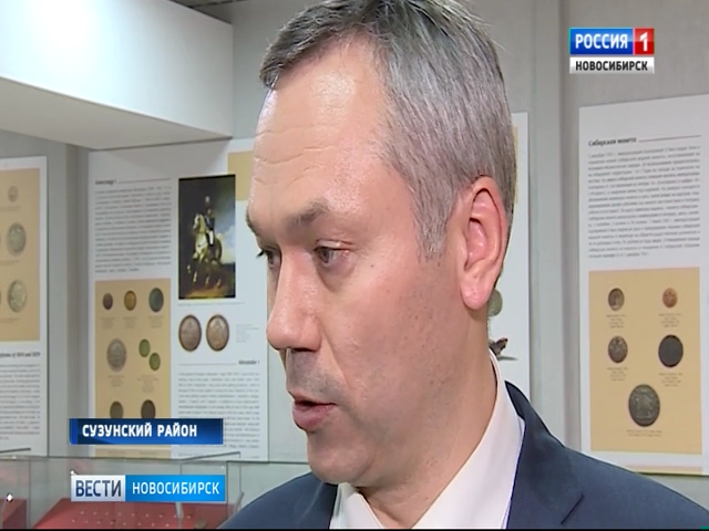 Врио губернатора Андрей Травников поручил разработать схему газоснабжения Сузунского района