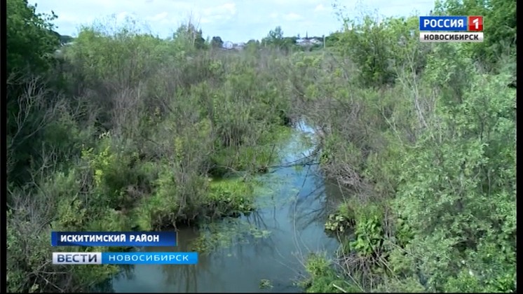 Жители поселка Чернореченский пожаловались на сбор нечистот в речку