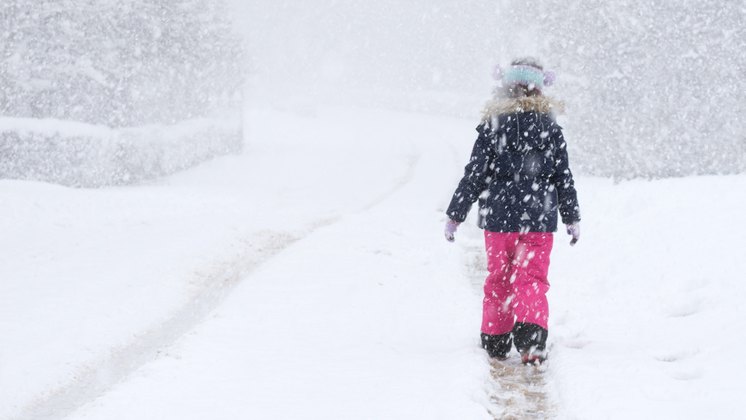 В Новосибирскую область циклон принесет мороз и сильный снег 6 декабря
