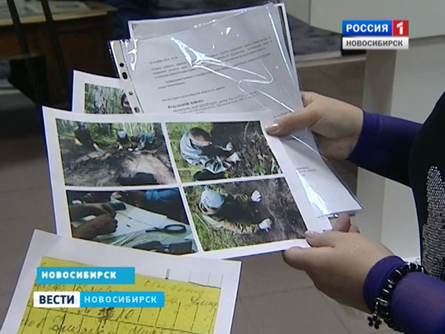 Новосибирская семья получила известие о судьбе пропавшего родственника-фронтовика