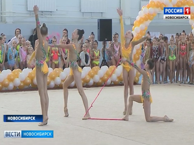 Турнир на призы Ирины Петрушиной собрал две сотни юных гимнасток в Новосибирске