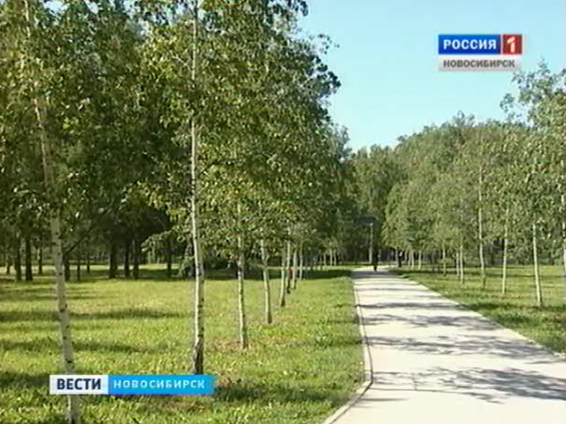 Новосибирские власти вместе с горожанами реконструируют сквер на улице Титова
