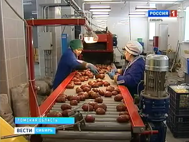 В Томской области подорожал картофель. Цена на второй хлеб выросла в 4 раза