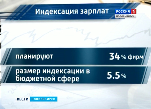  Рынок труда Новосибирской области в кризис