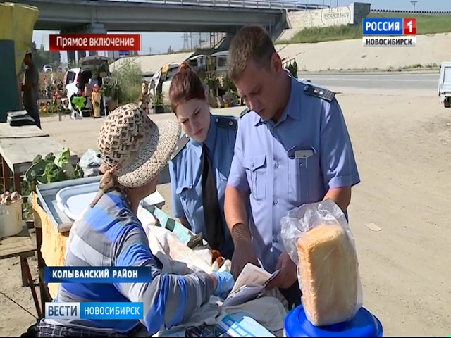 Инспекторы массово проверяют мясные торговые точки на трассах Новосибирской области