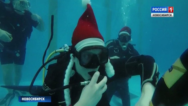 Новосибирские дайверы нарядили новогоднюю елку под водой