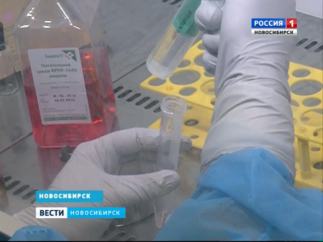 Новосибирские учёные начали применять вакцину от рака