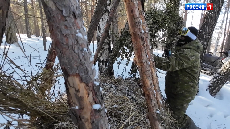 Для зверей новосибирских лесов оборудовали круглосуточные столовые