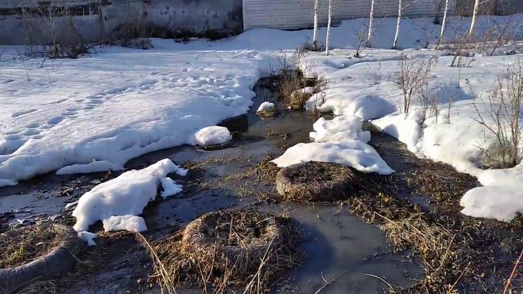 «Вся малина и перец в помоях»: огороды частных домов затопило нечистотами в Новосибирске