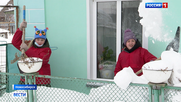 Добровольцы помогают пенсионерам выбраться из снежного плена в Новосибирске