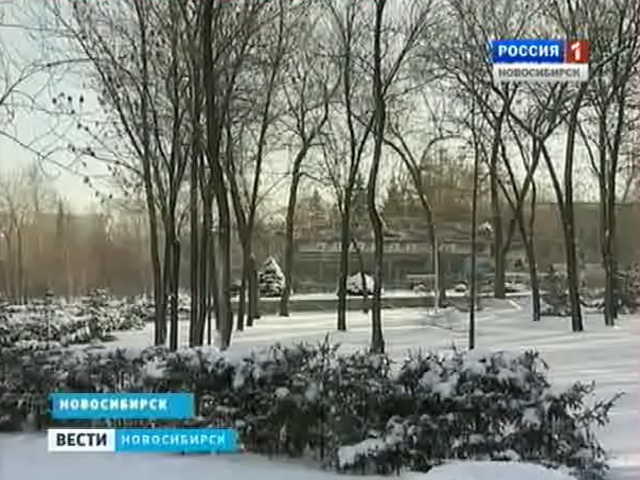 Защитники сада Кирова продолжают бороться со стройкой ресторана на территории парка