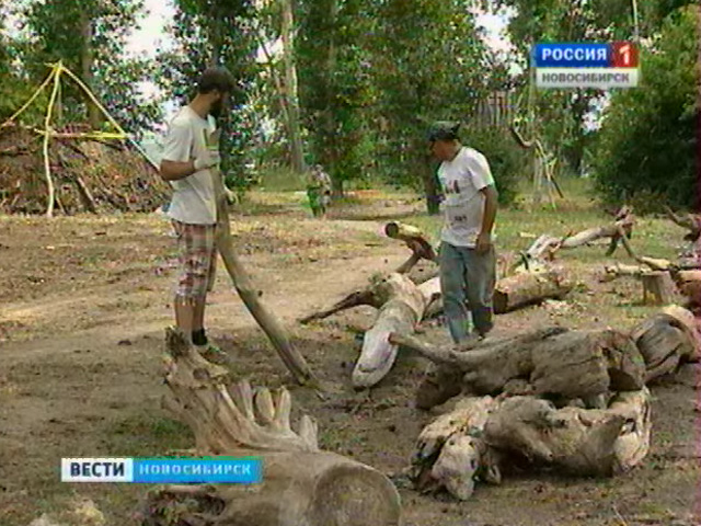 В Новосибирском парке открыли экспозицию эко-фестиваля &quot;Елки-палки&quot;