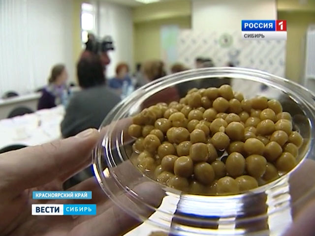 В регионах Сибири проверяют, что мы едим, и кто отвечает за качество продуктов