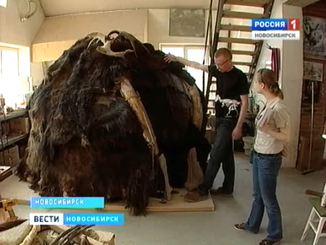 Новосибирские ученые соорудили копию жилища древнего человека для пермского музея