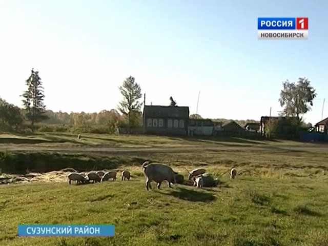 Новосибирские фермеры готовы поставлять свою продукцию в Новосибирск