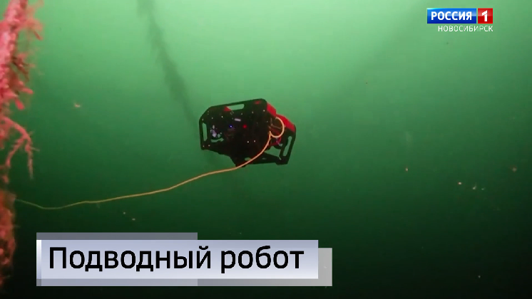Мобильный аппарат для подводной съёмки разработали в Новосибирске