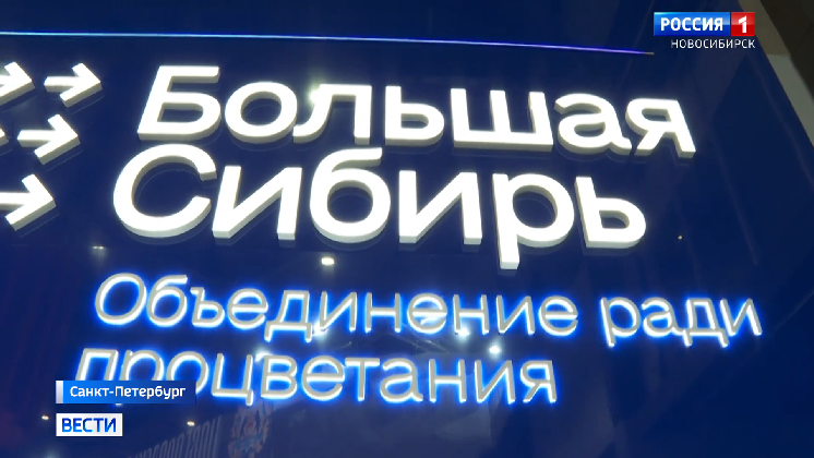Телемост соединит Новосибирскую область и Санкт-Петербург во время ПМЭФ-2025