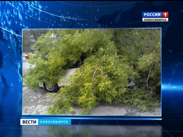 Последствия разгула стихии устраняют в Новосибирской области