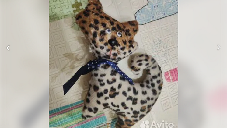 Юная жительница Новосибирской области продает игрушку за три миллиона рублей