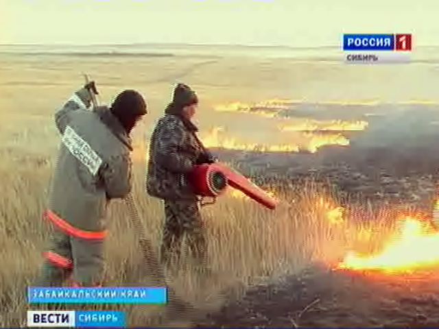 Первые лесные пожары в Сибири. Основная причина - палы травы