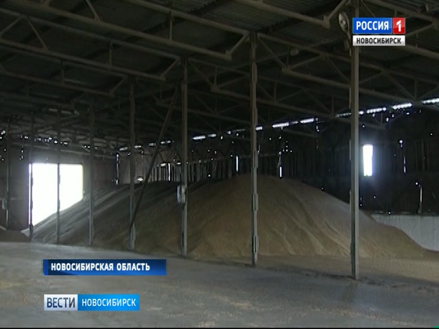 Новосибирские аграрии столкнулись с трудностями в продаже урожая зерна
