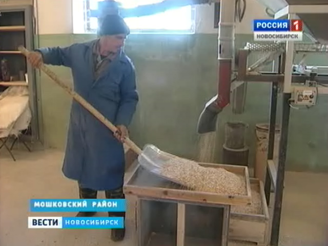 Новосибирские сельхозпроизводители прогнозируют рост цен на крупы