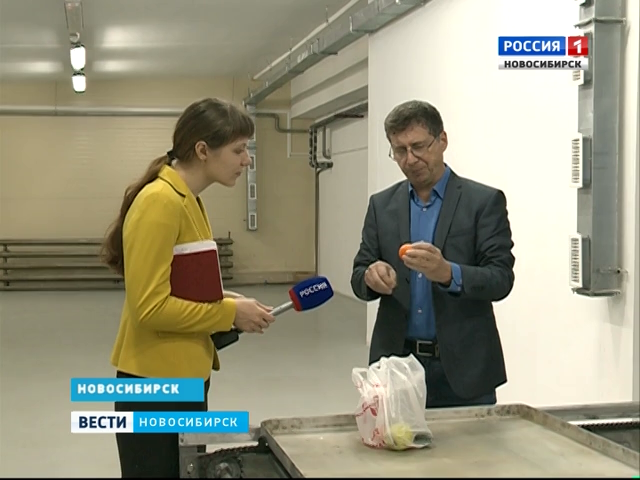 Новосибирские физики-ядерщики стерилизуют продукты облучением 