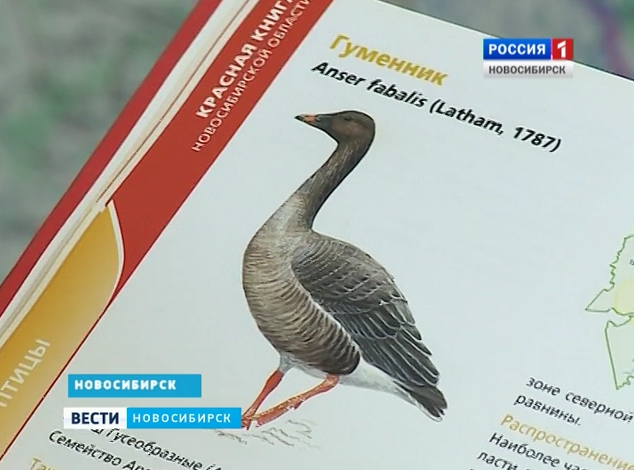 Новая Красная книга будет издана в России 