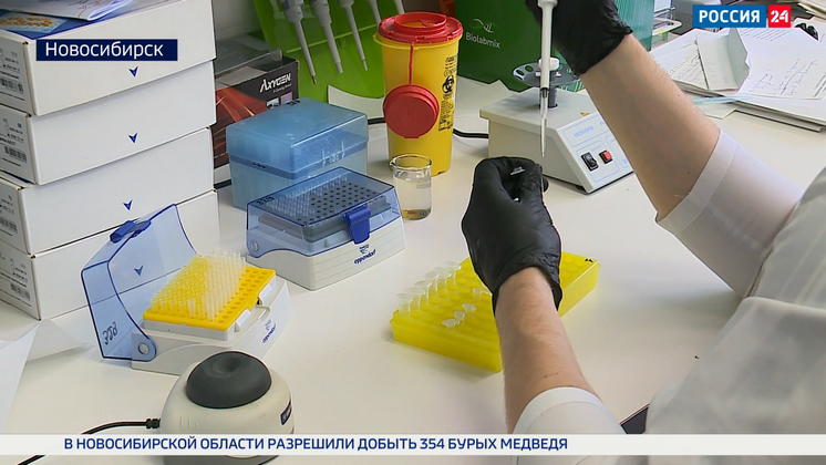 Новосибирские учёные провели масштабное исследование в области кардиологии