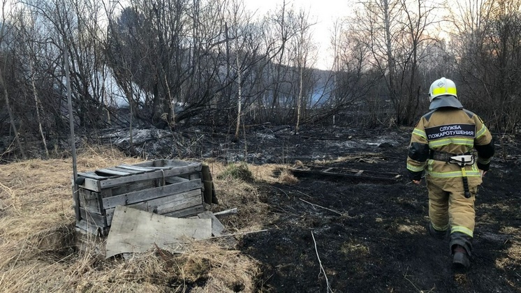 Новосибирцы получили штрафы за разведение огня на сумму 2,6 миллиона рублей