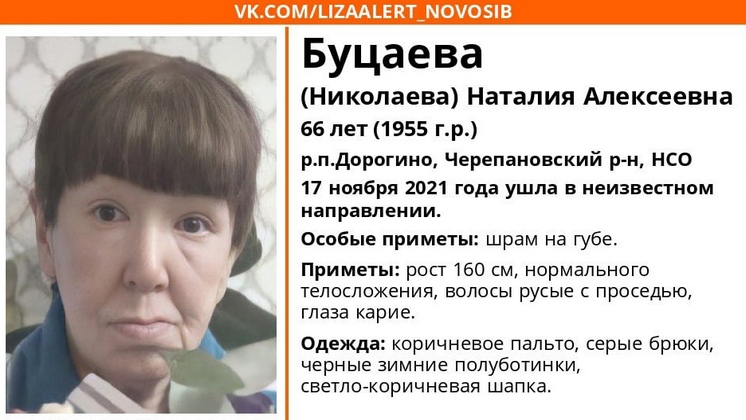 В Новосибирской области нашли тело пропавшей 17 ноября 66-летней женщины