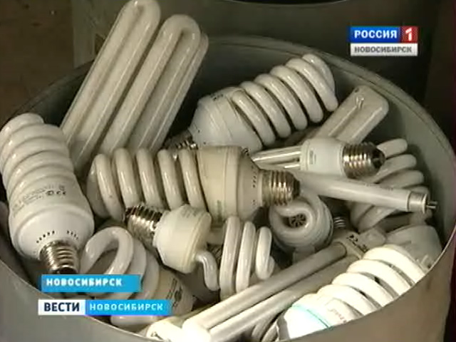 Власти Новосибирска разрабатывают систему по сбору опасных отходов
