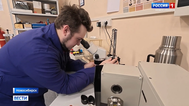 Учёные Новосибирска ищут новые эффективные соединения для химиотерапии рака