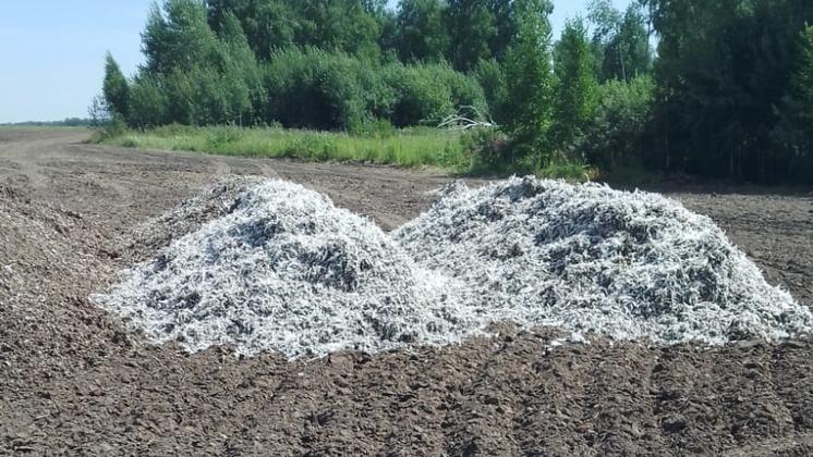 Полчища мух и смрад от куриных отходов одолели дачников под Новосибирском