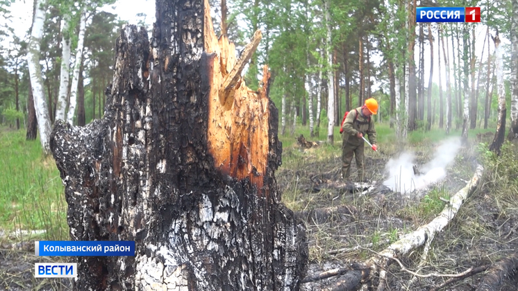 Молния могла стать причиной пожара в Кудряшовском заказнике под Новосибирском  