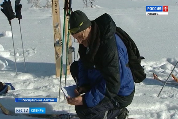Участники экспедиции на Алтае пытаются составить точный прогноз половодья