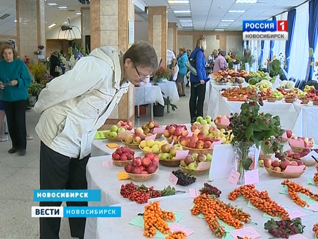 В Новосибирске и области отмечают День садовода
