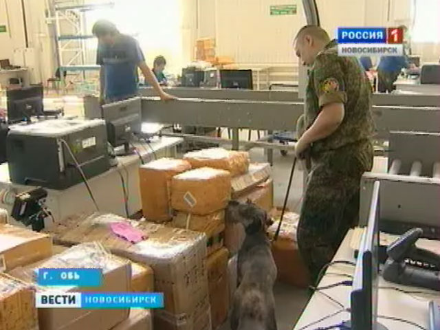 Новосибирские правоохранители изъяли более 10 кг наркотиков, поставляемых по почте из-за границы