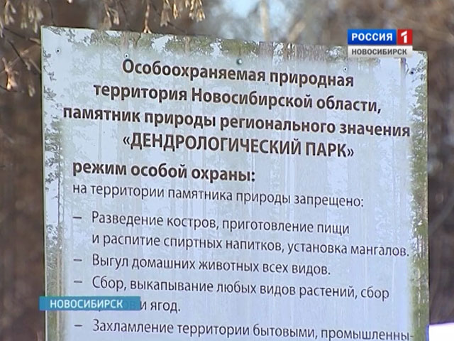 В Новосибирске объявили конкурс на лучший проект благоустройства дендропарка