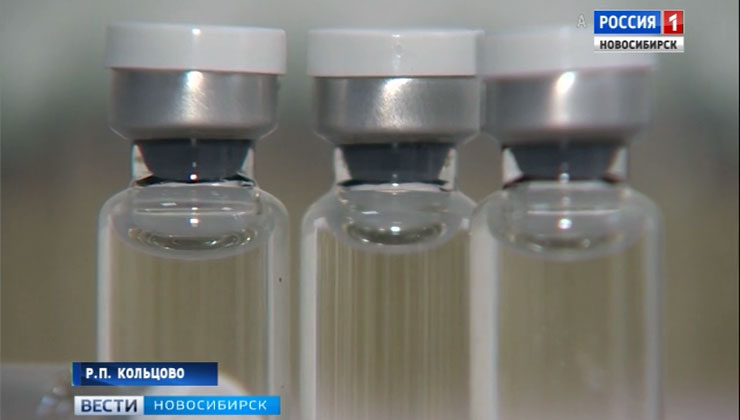 Онковакцина для животных успешно прошла доклинические испытания в Новосибирске