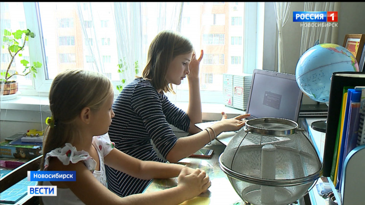 Дистанционное обучение: насколько эффективно новосибирским школьникам получать знания дома?