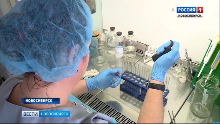 Новосибирские учёные предлагают создать центр клеточных технологий