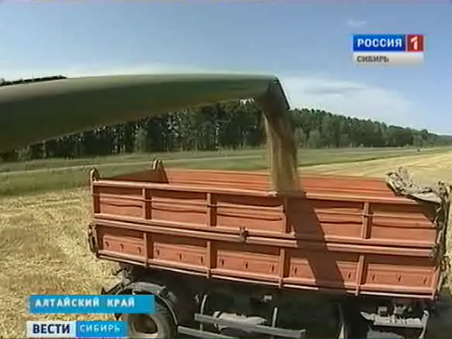 Более 40 миллионов тонн зерна в год Россия должна экспортировать к 2020 году