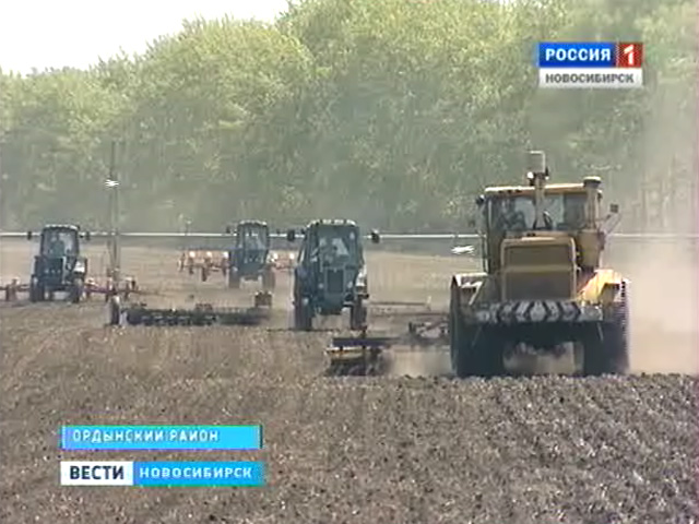 Селяне Новосибирской области засеяли миллион гектаров из двух запланированных