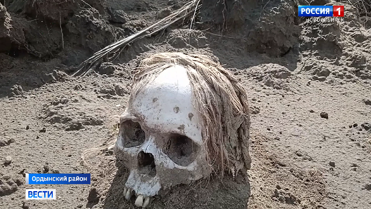 Массовое захоронение людей обнаружили в Ордынском районе Новосибирской области