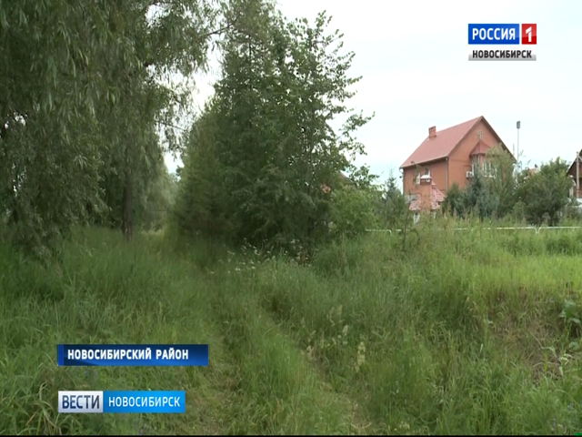 Прокуратура заинтересовалась странной сделкой о покупке земли в Кудряшовском сельсовете